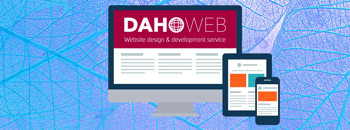 Dahoweb web design development service